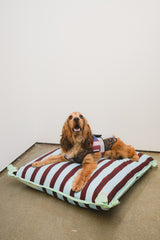 Damson Madder pet bed- multi stripe