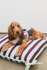 Damson Madder pet bed- multi stripe