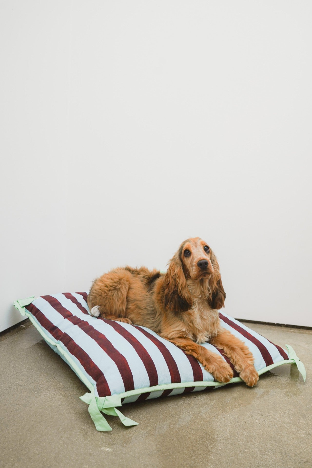 Damson Madder pet bed- multi stripe