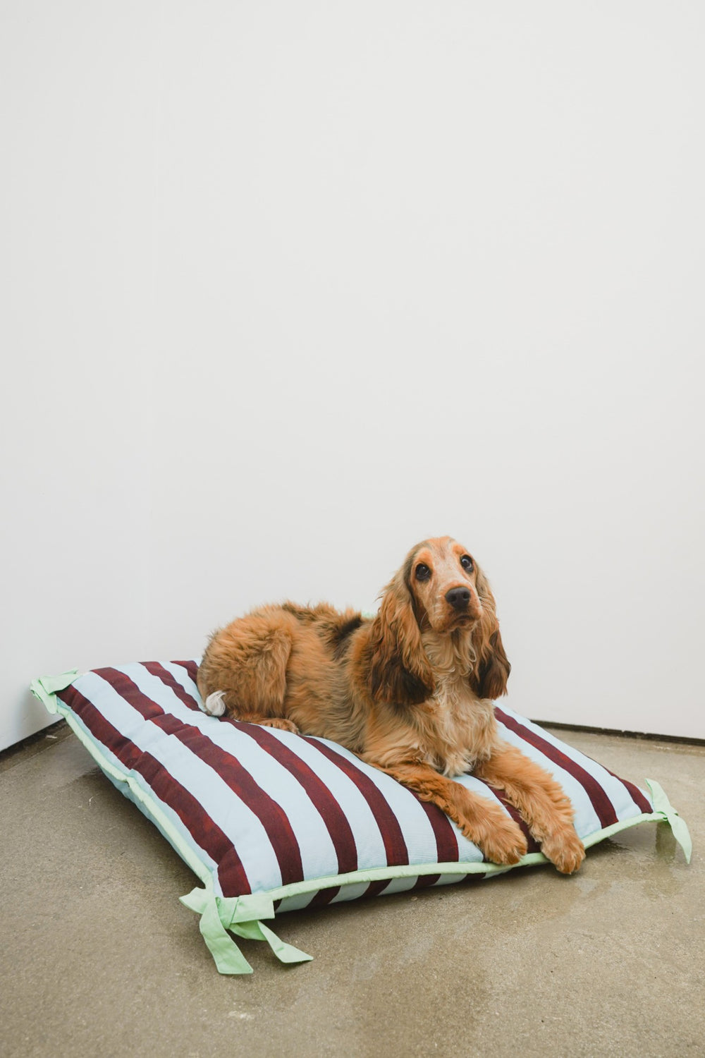 Damson Madder pet bed- multi stripe