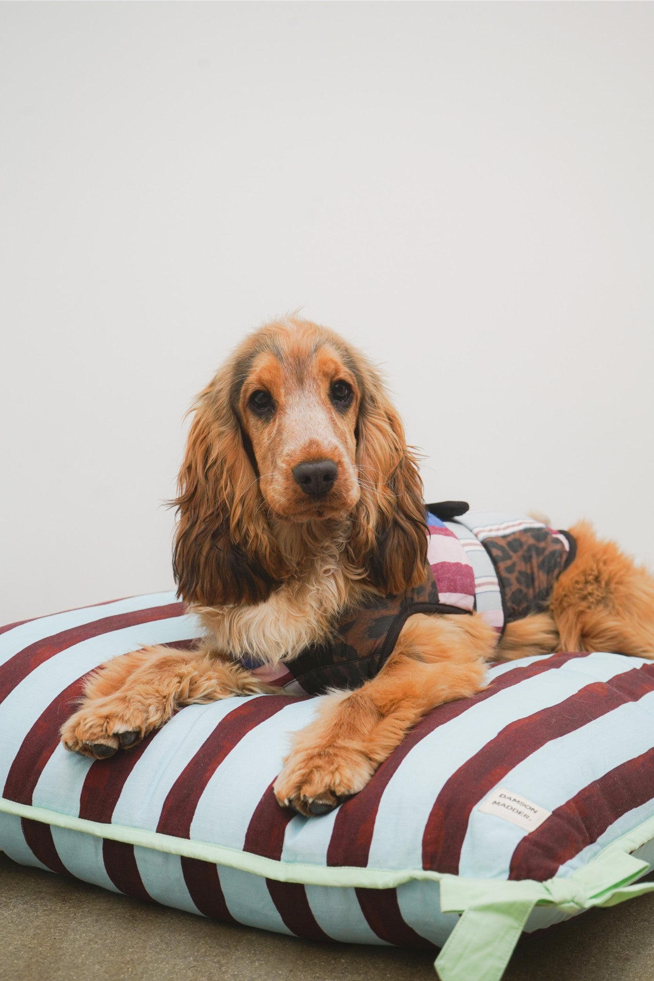 Damson Madder pet bed- multi stripe