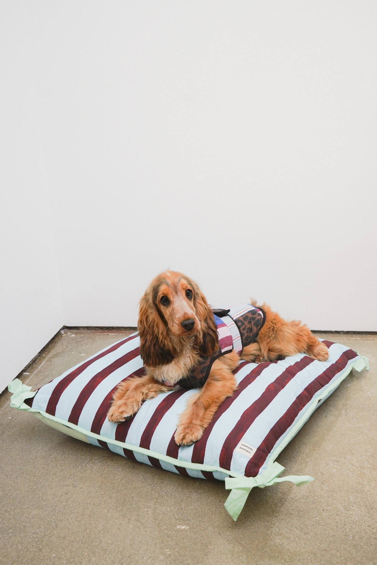 Damson Madder pet bed- multi stripe